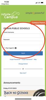 LogIn